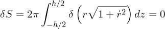 \begin{equation*} \delta S = 2 \pi \int_{-h/2}^{h/2} \delta \left ( r \sqrt{1+\dot{r}^2 \right ) dz = 0 \end{equation*}